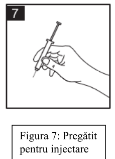 Figura 4:
