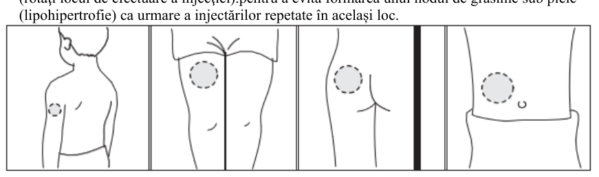 Figura 4: