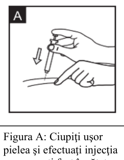 Figura 4: