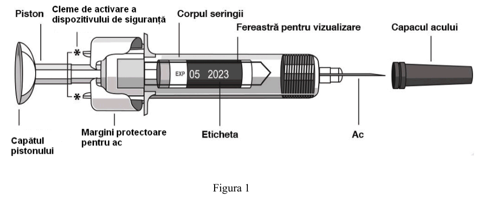 Figura 7: