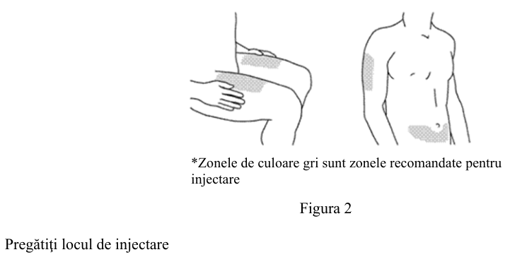 Figura 7: