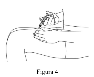Figura 7: