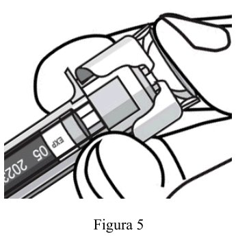 Figura 7: