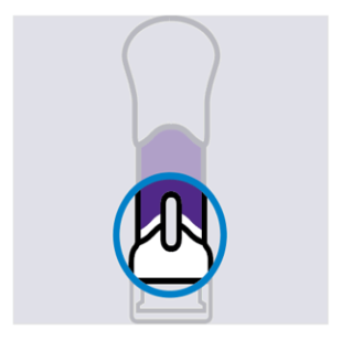 Figura 7: