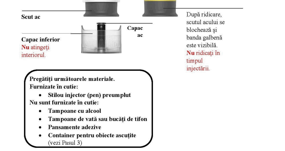 Figura 7:
