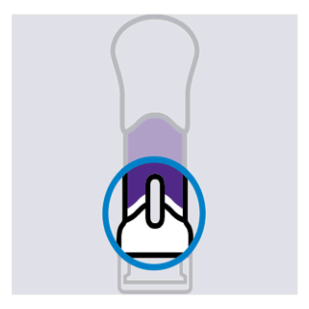 Figura 7: