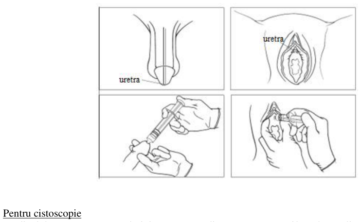 Figura 3: