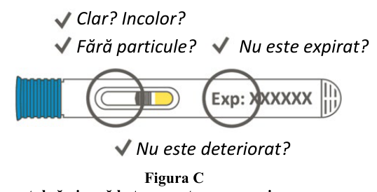 Figura 7: