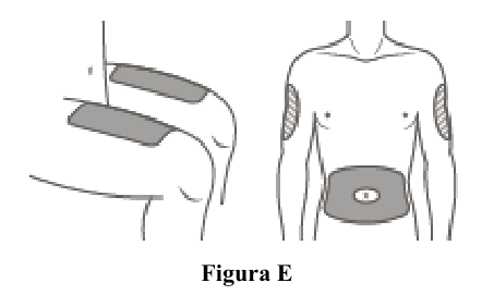 Figura 7: