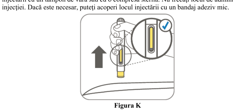 Figura 7: