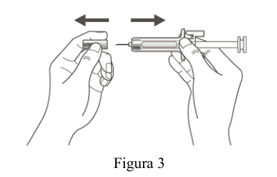 Figura 7: