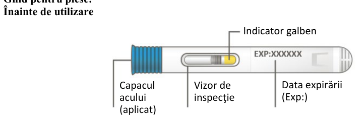 Figura 7: