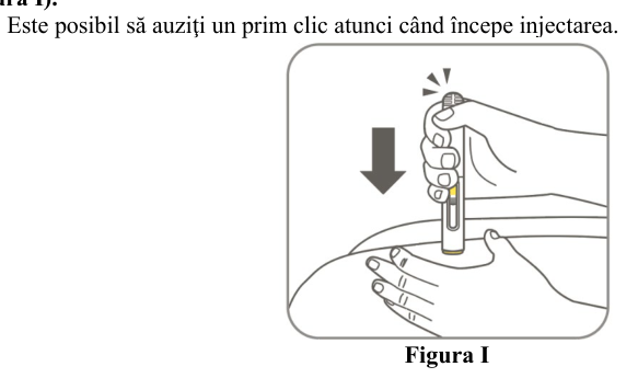 Figura 7: