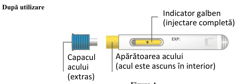 Figura 7: