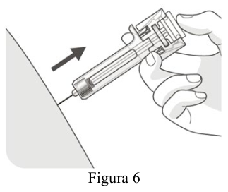 Figura 7: