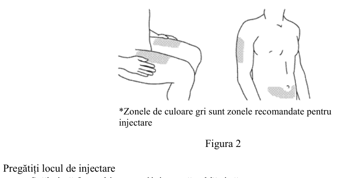 Figura 7: