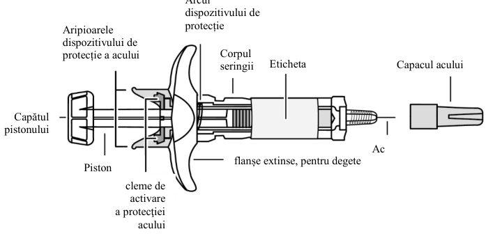 Figura 7: