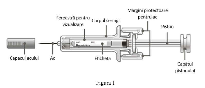 Figura 7: