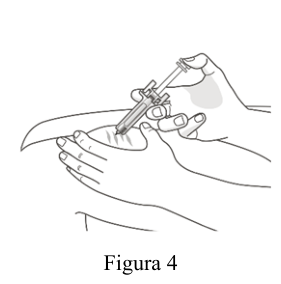 Figura 7: