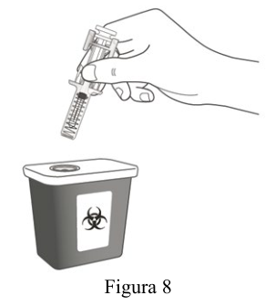 Figura 7: