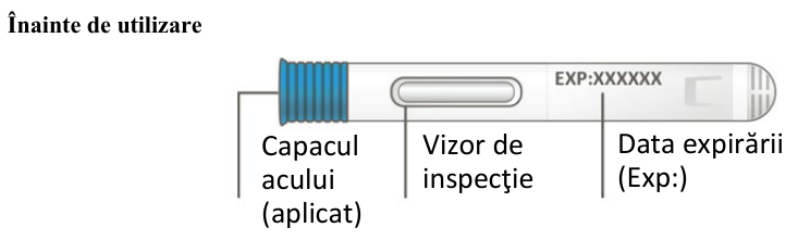 Figura 7: