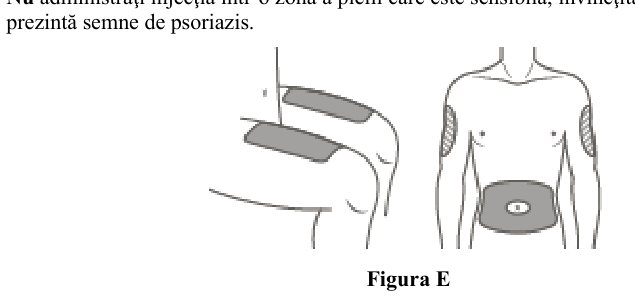 Figura 7: