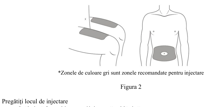 Figura 7: