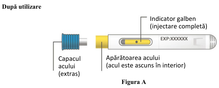 Figura 7: