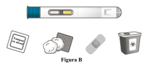 Figura 7: