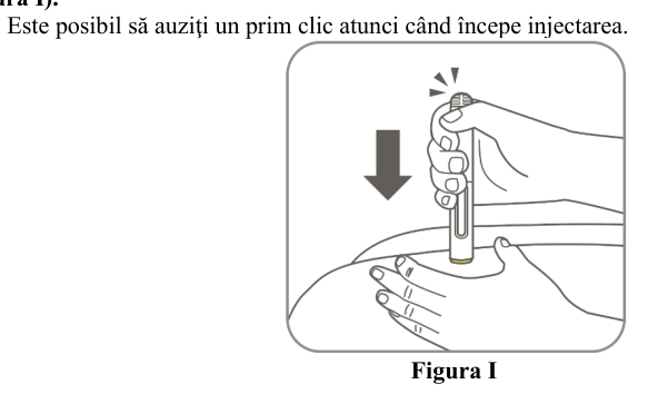 Figura 7: