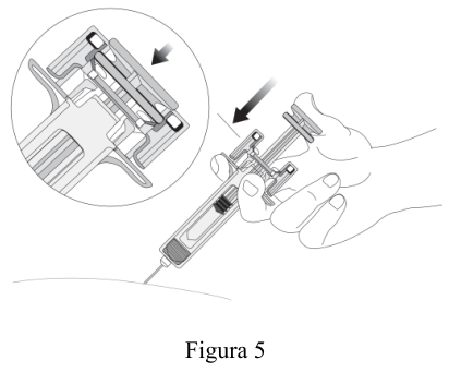 Figura 7: