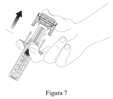 Figura 7: