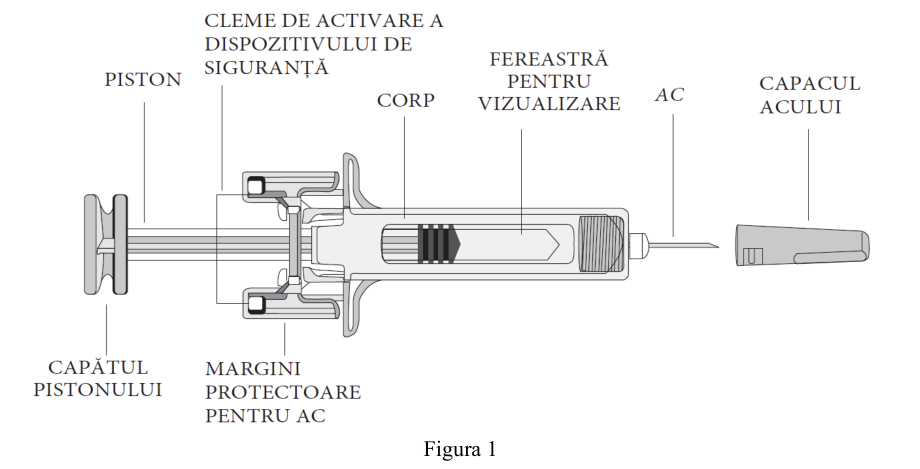 Figura 7:
