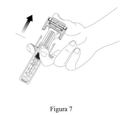 Figura 7: