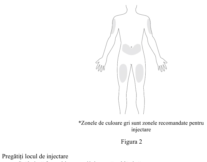 Figura 7: