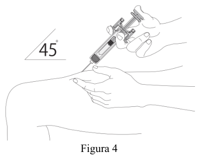 Figura 7: