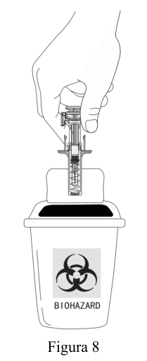Figura 7: