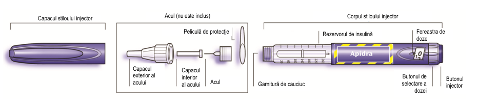 Figura 3: Profilul farmacocinetic al insulinei glulizin şi al insulinei umane regular la pacienţii cu