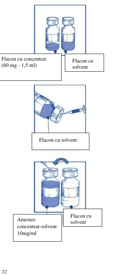 Figura 1: curbele Kaplan Meier privind supravieţuirea globală (EFC6193)