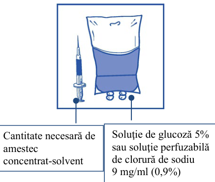 Figura 1: curbele Kaplan Meier privind supravieţuirea globală (EFC6193)